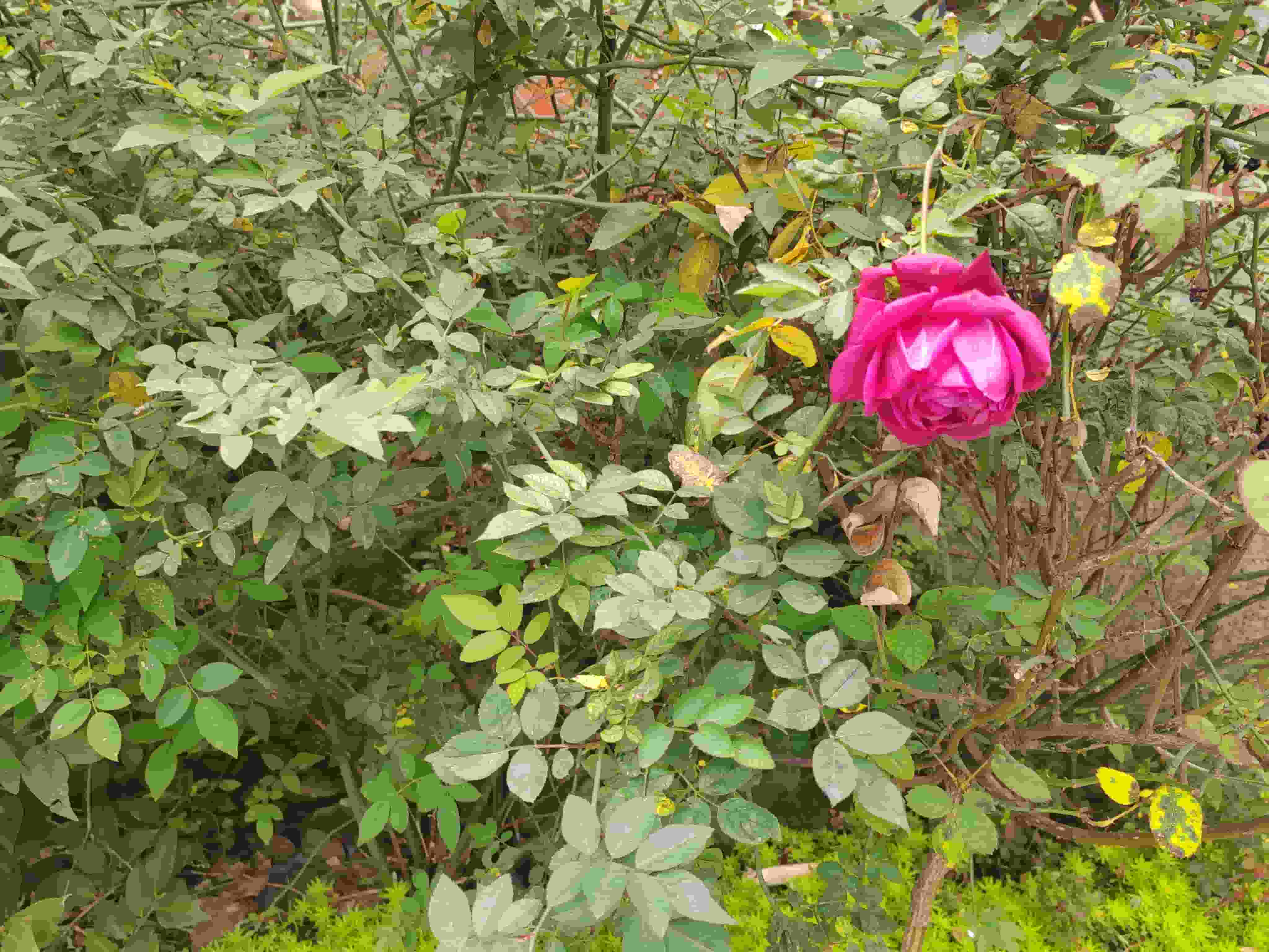 探究重庆陵园墓地价格