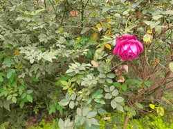 探究重庆陵园墓地价格